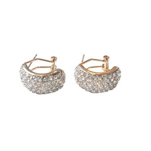 Swarovskic clip on